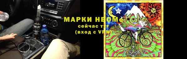 прущие грибы Кострома