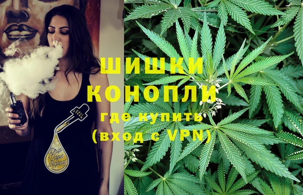 молекула духа Великий Новгород