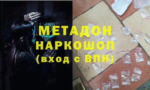 прущие грибы Кострома