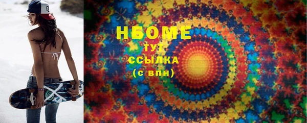 прущие грибы Кострома
