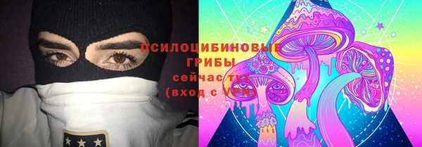прущие грибы Кострома
