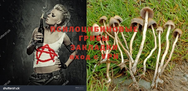 кокаин колумбия Лиски