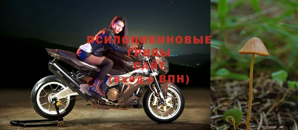 молекула духа Великий Новгород