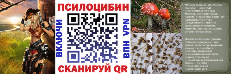 Псилоцибиновые грибы MAGIC MUSHROOMS  дарк нет формула  Заречный 